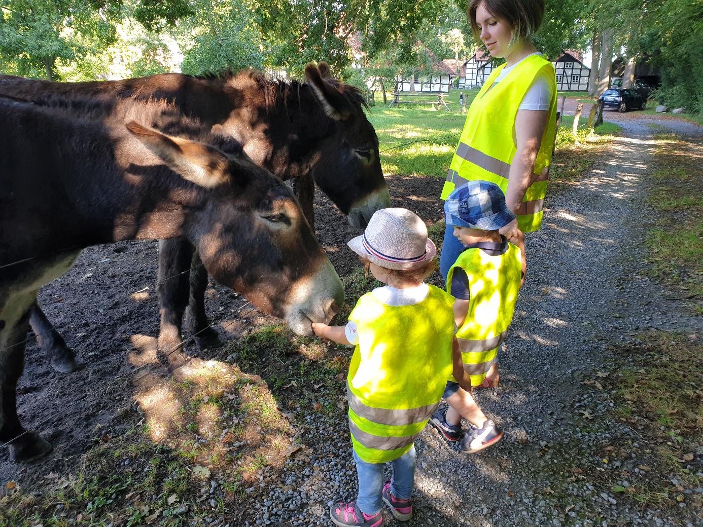 ausfluege 2 20201119 1963499693