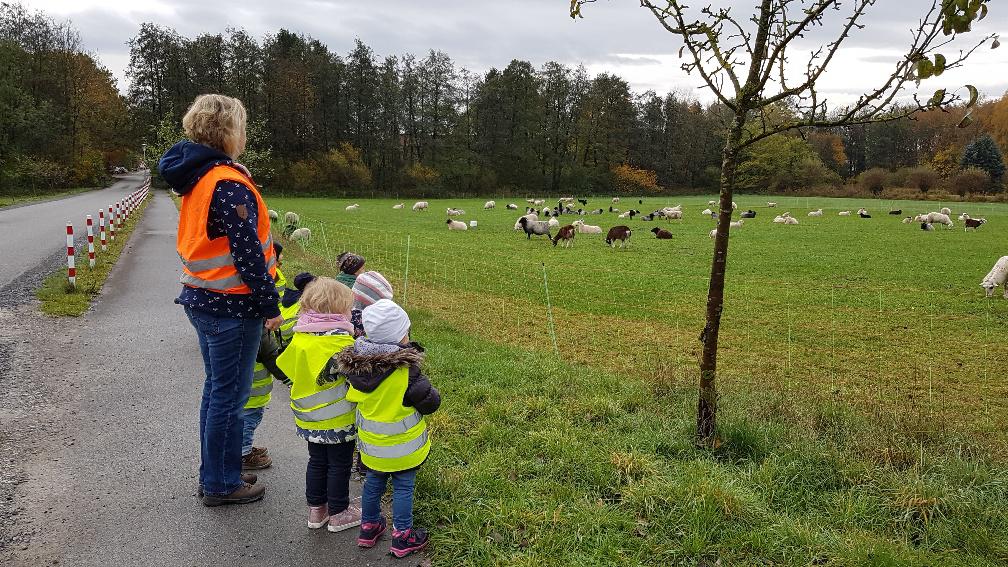 ausfluege 3 20201119 1259229218