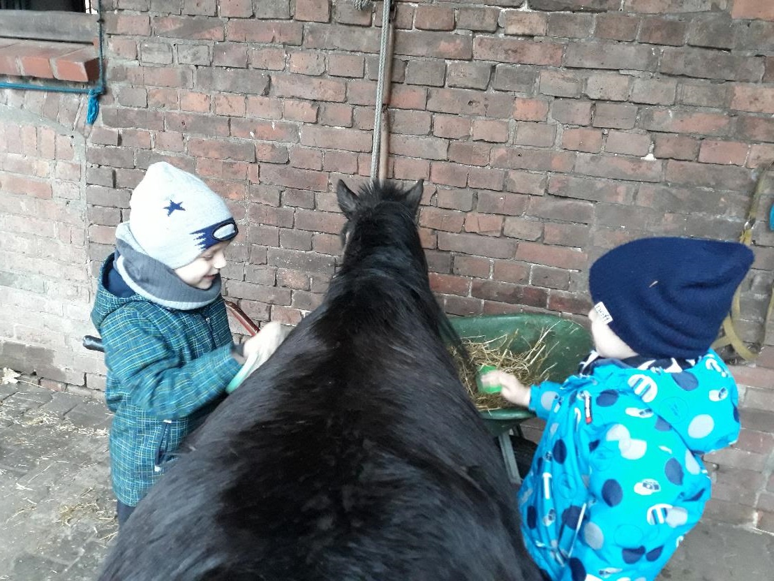 reiten 2 20201119 1734618921