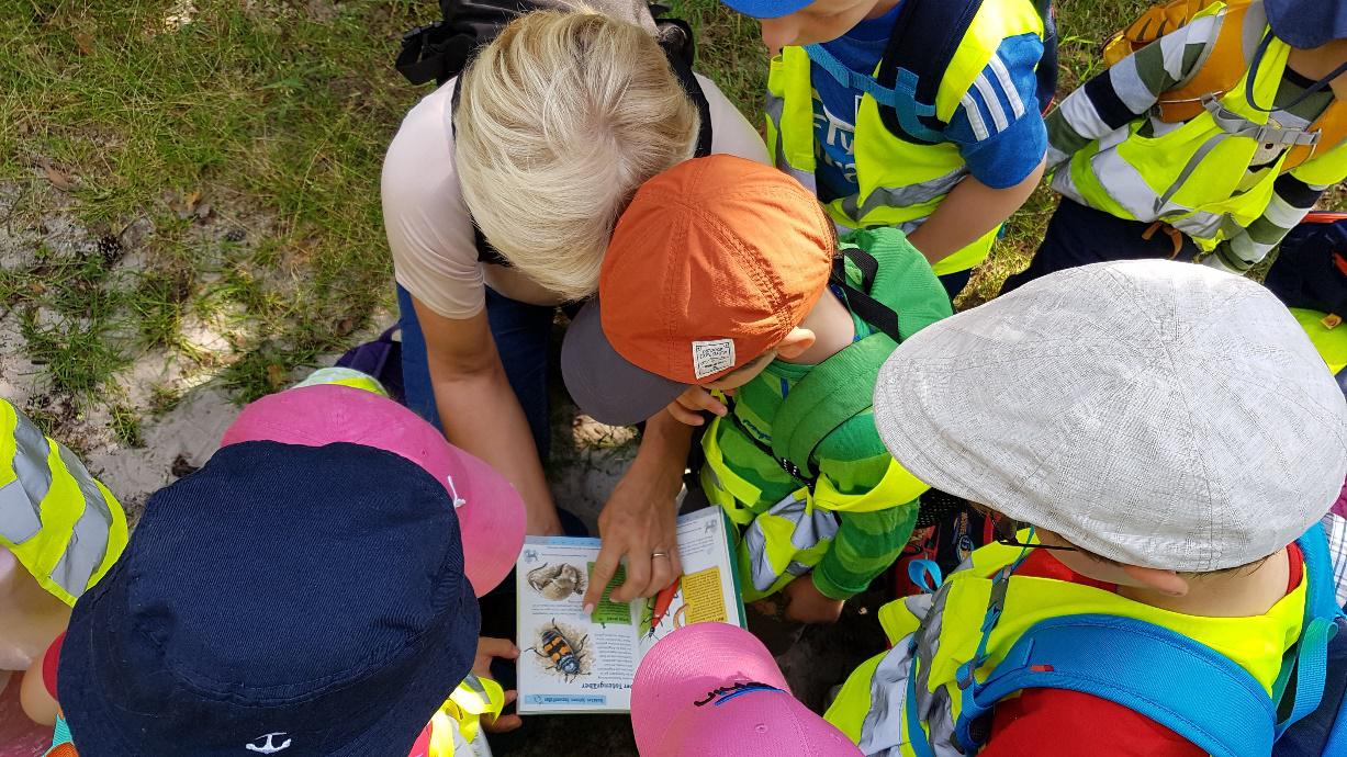 wald und wiesenwoche 2 20201119 1973694276