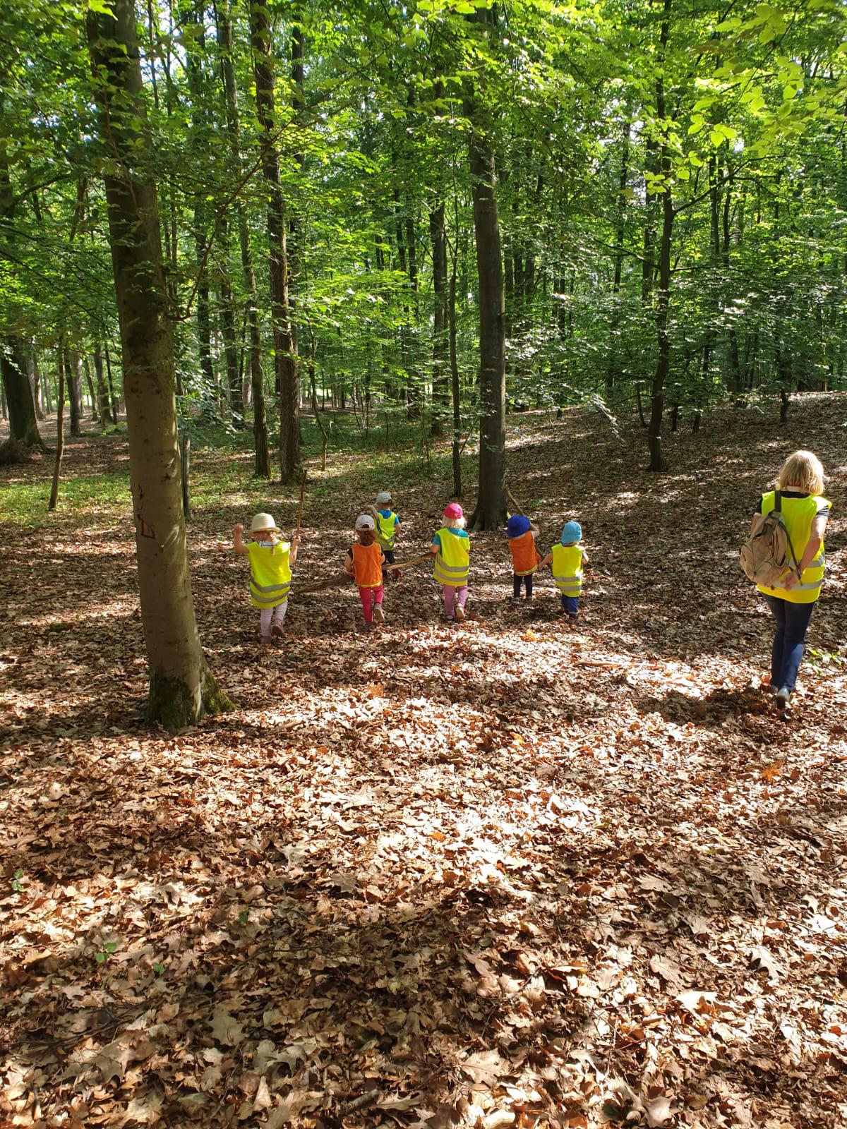 wald und wiesenwoche 3 20201119 1259612919